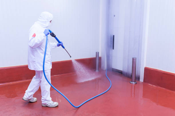 Best Building Exterior Washing  in Sierra View, PA